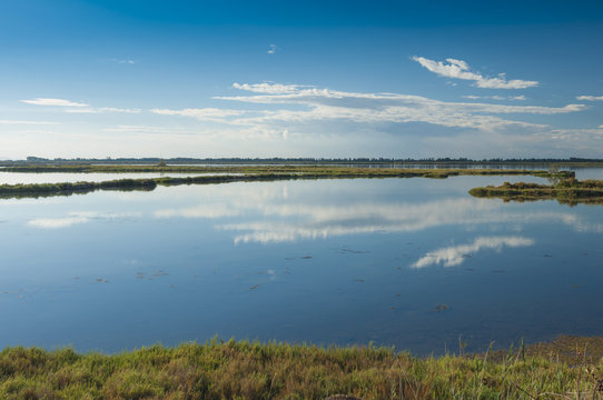 Landscape of the lagoon at the Po delta river national park, Italy.