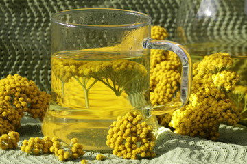 Schafgarbentee