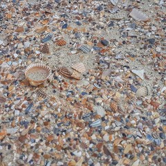 Sandtextur, Nordsee