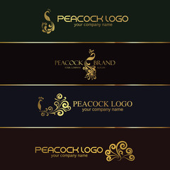Fototapeta na wymiar Peacock logo