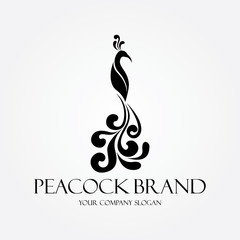 Fototapeta premium Peacock logo