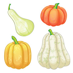 Set of different pumpkins