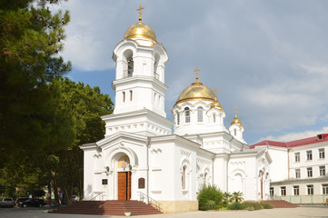 Fototapeta na wymiar Свято-Вознесенский кафедральный собор