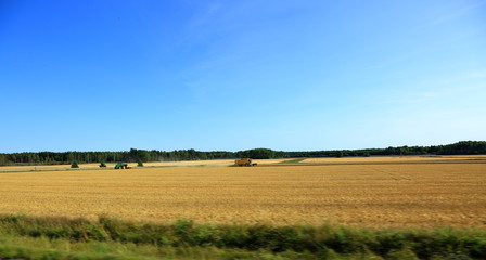 Obraz premium Combine machine on a wheat field. Harvesting