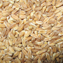 Spelt