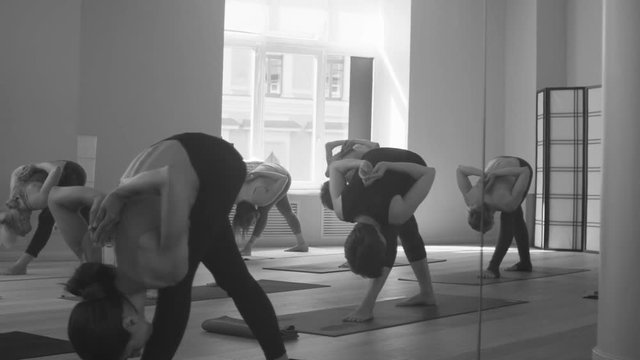 Group of people doing yoga asanas in studio