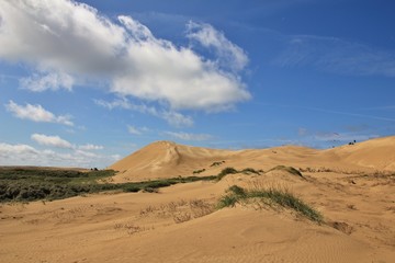 Fototapeta na wymiar Sand dunes at the west coast of Denmark. Rubjerg Knude.