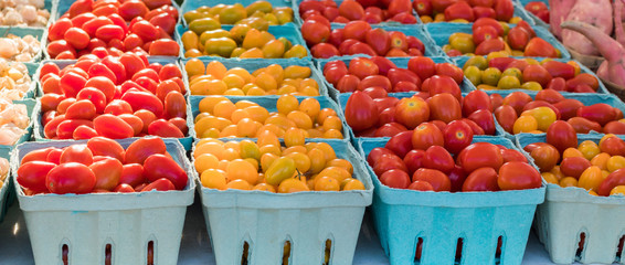 Cherry Tomatoes for Sale