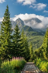 Tatra mountains, Poland landscape, tourist trail  in Gasienicowa valley (Hala Gasienicowa), summer
