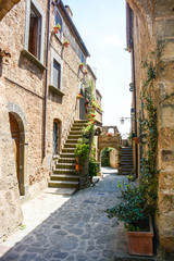 Fototapeta na wymiar medieval village