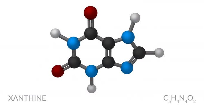 Xanthine molecule, rotating seamless loop, 3d animation, 4k 30fps