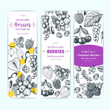 Berries hand drawn, vector illustration banners set. Healthy food design template with berries. Engraved style image