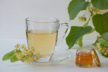 Linden tea in glass mug.