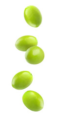 Isolated falling olives. Five green olive fruits in the air isolated on white background with clipping path