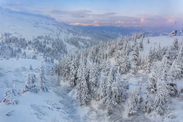 Beautiful winter landscape