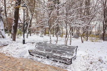 Winter landscape with benches in the alley of park
