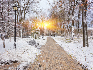 Winter landscape with benches in the alley of park