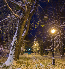 Winter night landscape- bench under trees and shining street lights falling snowflakes.