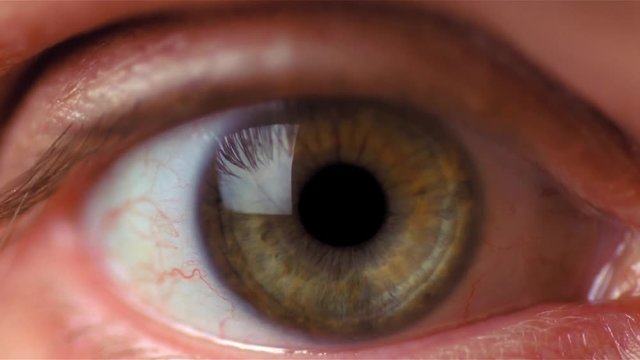 Close up of mans green eye