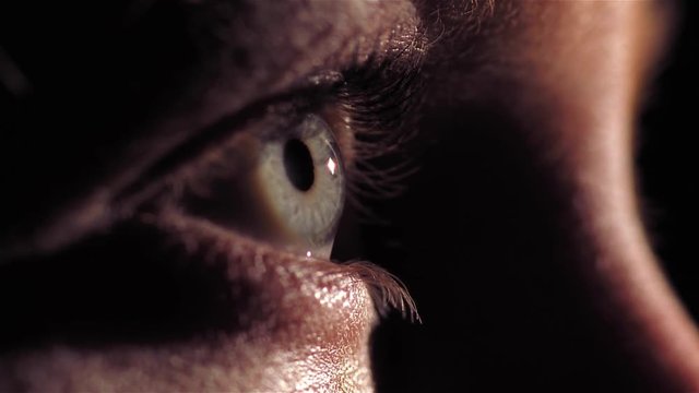 Side view of eye with light shining 