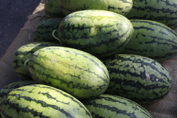 Watermelon for sale during the Saturday Farmers Market