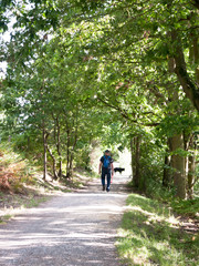 a man outside on country walk walking his dog in distance