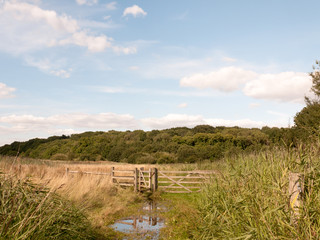 a water logged country walk meadow scene with wooden fence and gate blocked
