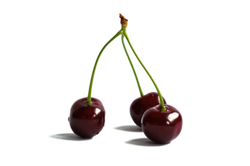 Closeup of cherries on a white background