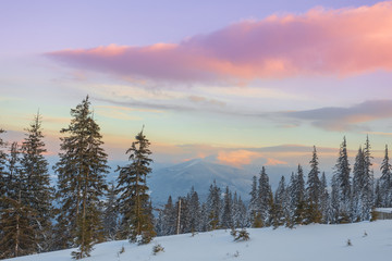 Fototapeta na wymiar majestic sunset in the winter mountains