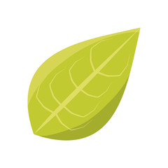 Leaf eco symbol vector illustration