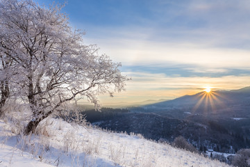 Beautiful winter landscape in the mountains.