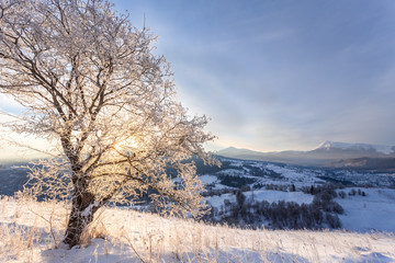 Beautiful winter landscape in the mountains.