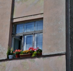 Fototapeta na wymiar Fenster mit Blumenkästen