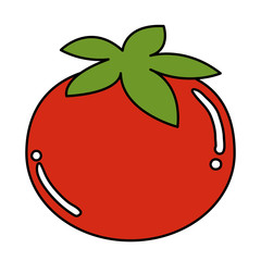 tomato fresh isolated icon vector illustration design