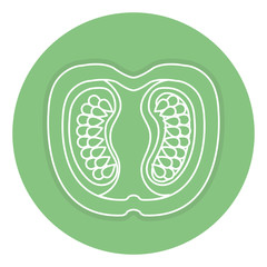 half tomato fresh isolated icon vector illustration design