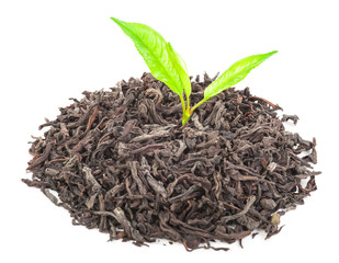 Heap of dry black tea with green tea leaves