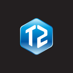 Initial letter TZ, modern glossy hexagon logo, gradient blue color on black background	
 

