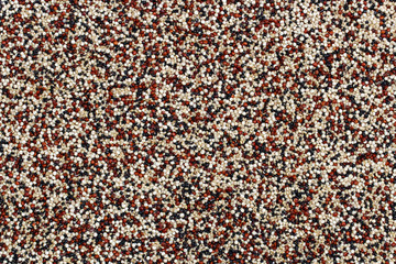 Colored Quinoa seeds background filling the frame