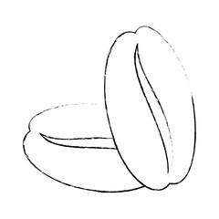 coffee bean icon over white background vector illustration