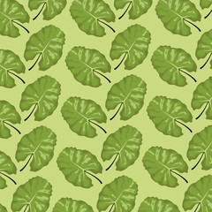 pattern color set decorative of tropical lanceolate green leaves vector illustration