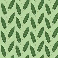 pattern color set decorative of elongated green leaves vector illustration