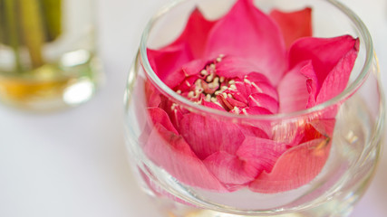Obraz na płótnie Canvas Pink lotus, water lily decorate in glass. Modern style theme for wedding and valentines