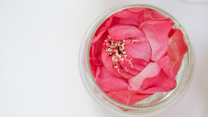 Pink lotus, water lily decorate in glass. Modern style theme for wedding and valentines