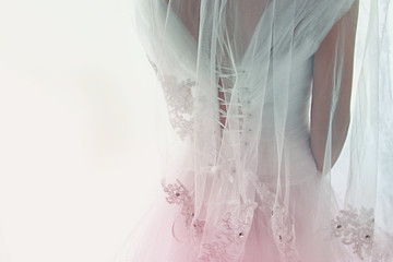 Beautiful bride with wedding dress and veil, from behind