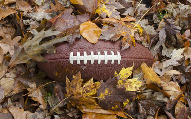 Game time - football buried in fallen leaves