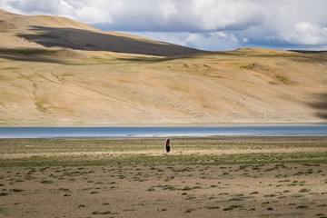 Fototapeta na wymiar Landscape around Kyagar Tso near Tso Moriri in Ladakh, India