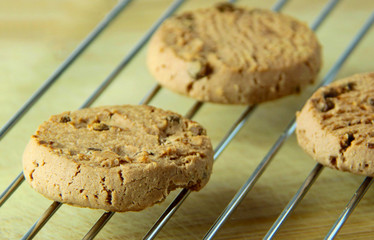 Sweet cookies with chocolate. Just baked. Close up view.
