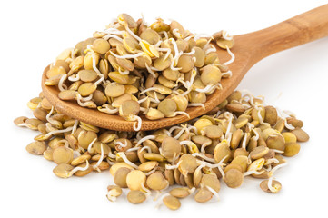 Sprouted lentils