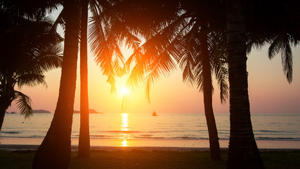 Sunset and silhouette of palm trees on the sea beach.