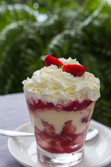 a glass of strawberry trifle